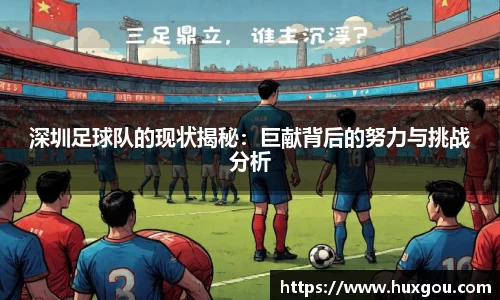 深圳足球队的现状揭秘：巨献背后的努力与挑战分析