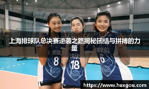 上海排球队总决赛逆袭之路揭秘团结与拼搏的力量