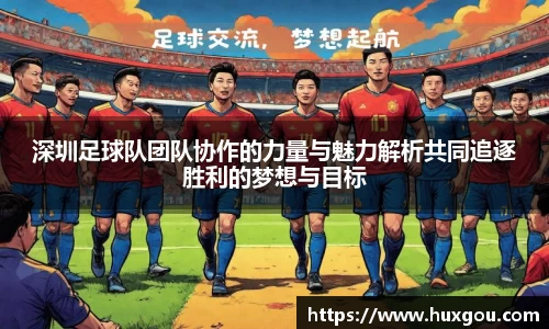 深圳足球队团队协作的力量与魅力解析共同追逐胜利的梦想与目标